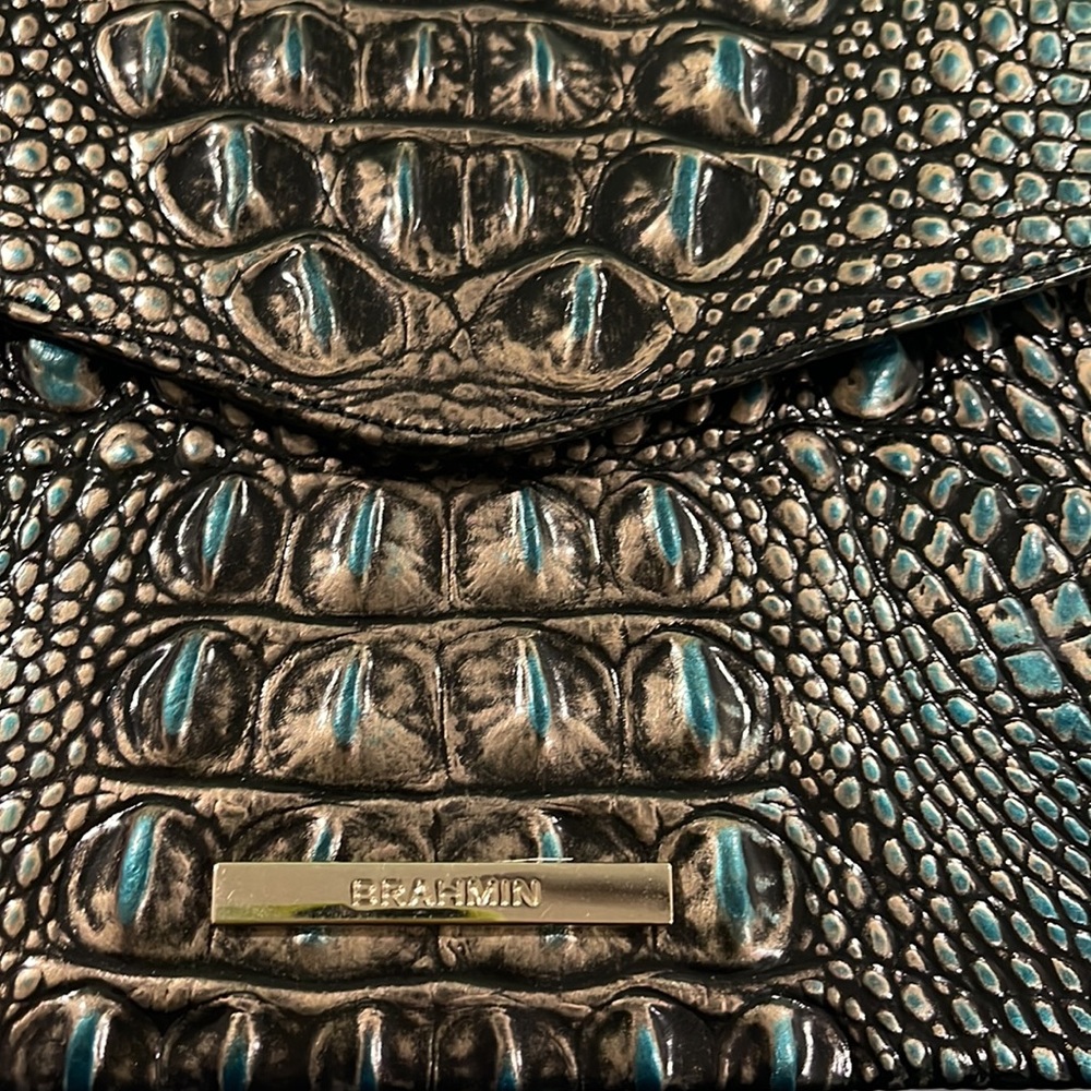 Brahmin Clutch - Picture 4 of 6